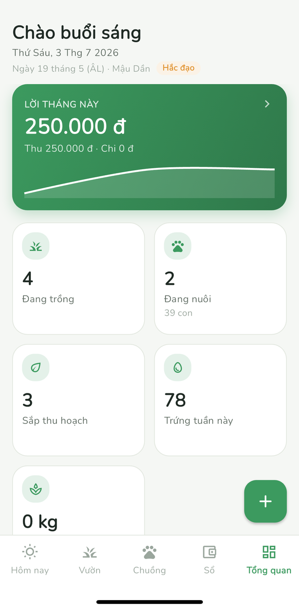 Tổng quan lời lỗ tháng và số liệu