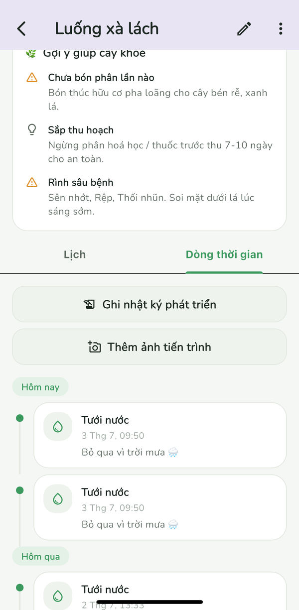 Dòng thời gian phát triển của cây